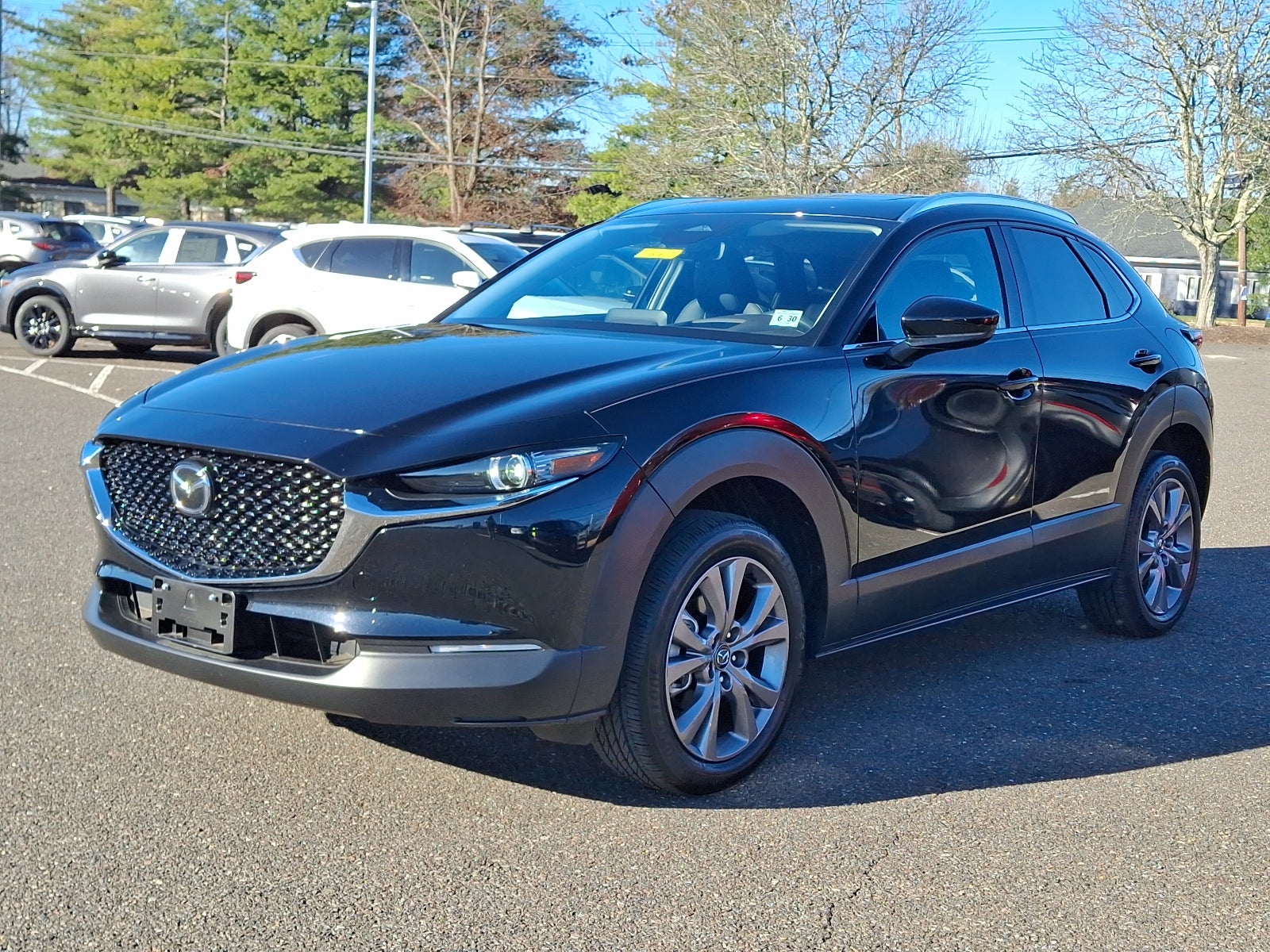 2025 Mazda Mazda CX-30 2.5 S Premium Package