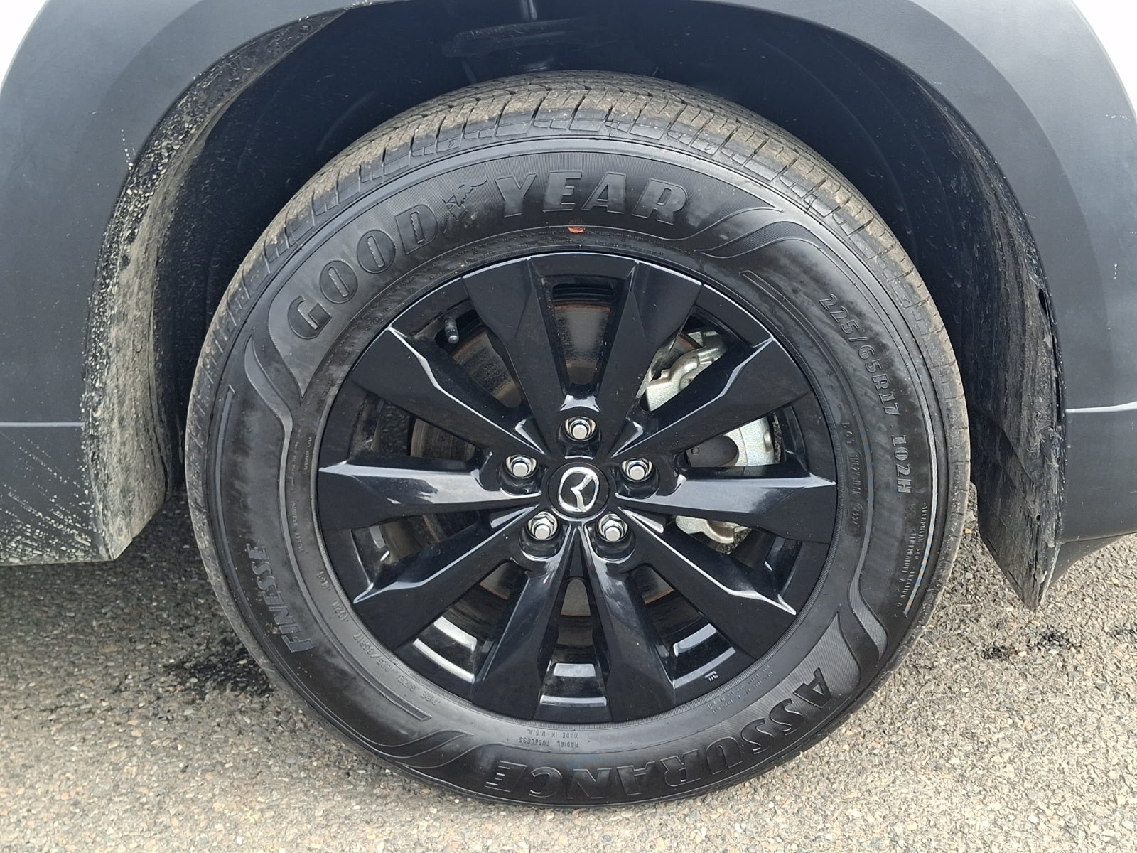 2025 Mazda Mazda CX-50 2.5 S Premium Package